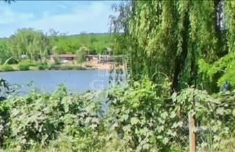 Eladó Domonyi termőföld, szántó hirdetés (32844611)