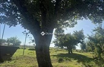 Eladó Felcsúti lakóövezeti telek hirdetés (94383249)