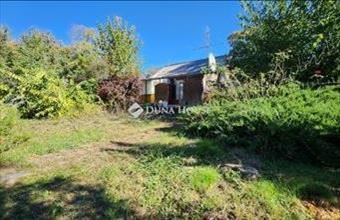 Eladó Kiskunlacházai családi ház hirdetés (42465492)