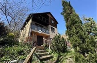 Eladó Leányfalui családi ház hirdetés (23842134)