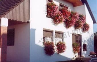 Eladó Bábolnai családi ház hirdetés (93588753)