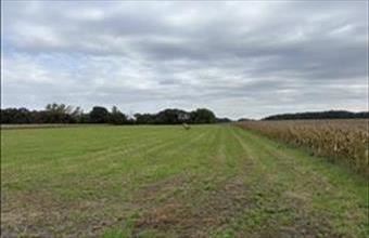 Eladó Abdai egyéb telek hirdetés (38267283)