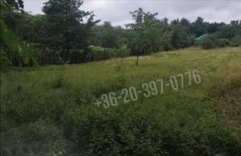 Eladó Győrsági egyéb telek hirdetés (77879898)