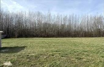 Eladó Kimlei egyéb telek hirdetés (58897724)