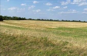 Eladó Mezőörsi egyéb telek hirdetés (34599937)