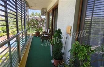 Eladó Budapest III. kerületi tégla lakás hirdetés (36577497)