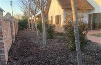 Eladó Inárcsi családi ház hirdetés (57346983)