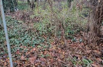 Eladó Szigethalomi üdülőövezeti telek hirdetés (26967957)