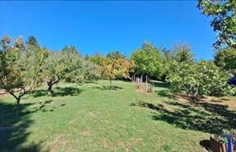 Eladó Budakeszi egyéb telek hirdetés (45232634)