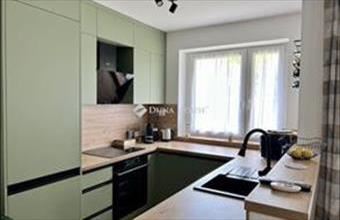 Eladó Százhalombattai családi ház hirdetés (61972738)