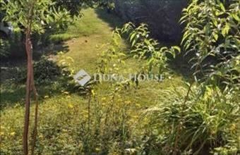 Eladó Zamárdi családi ház hirdetés (84369127)