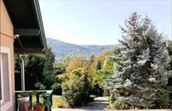 Eladó Visegrádi családi ház hirdetés (22228994)