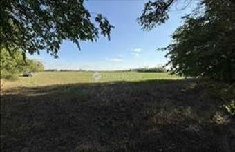 Eladó Orgoványi tanya hirdetés (43954887)