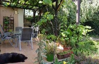 Eladó Nyíregyházai családi ház hirdetés (96727481)