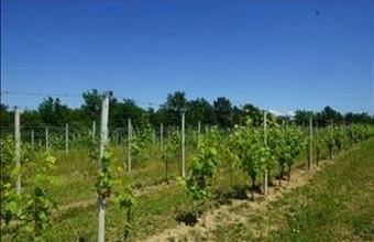 Eladó Olaszországi üdülő hirdetés (67436933)