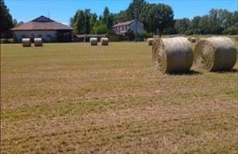 Eladó Olaszországi családi ház hirdetés (39948254)