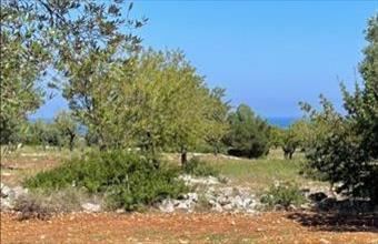 Eladó Olaszországi lakóövezeti telek hirdetés (17271433)