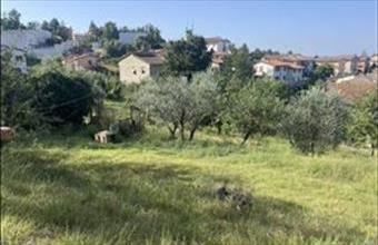 Eladó Olaszországi családi ház hirdetés (39534282)