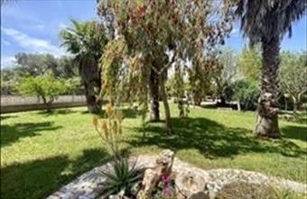 Eladó Olaszországi üdülő hirdetés (94477996)