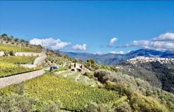 Eladó Olaszországi családi ház hirdetés (57164731)