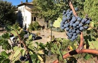 Eladó Olaszországi üdülő hirdetés (48549889)