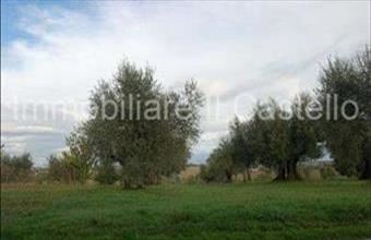 Eladó Olaszországi családi ház hirdetés (22745934)