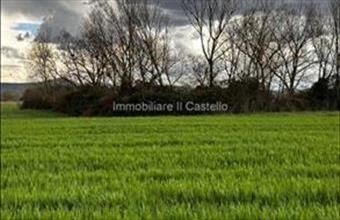 Eladó Olaszországi családi ház hirdetés (23174824)