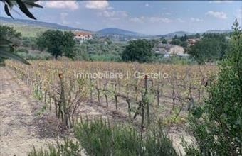 Eladó Olaszországi családi ház hirdetés (66437199)