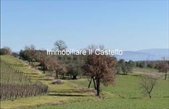 Eladó Olaszországi családi ház hirdetés (83297548)