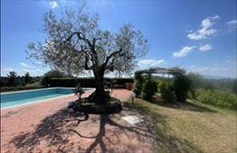 Eladó Olaszországi családi ház hirdetés (85246354)