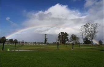 Eladó Olaszországi egyéb üzlethelyiség hirdetés (34364434)