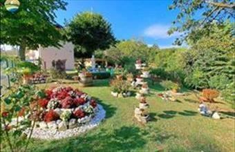 Eladó Olaszországi családi ház hirdetés (33745743)