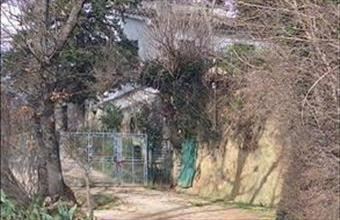 Eladó Olaszországi családi ház hirdetés (53376748)