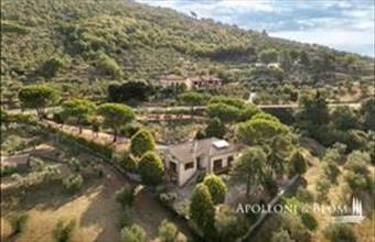 Eladó Olaszországi üdülő hirdetés (57888375)