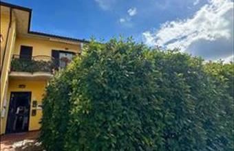 Eladó Olaszországi családi ház hirdetés (43433734)