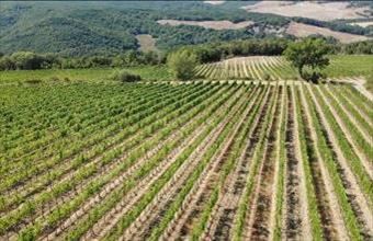 Eladó Olaszországi lakóövezeti telek hirdetés (14367159)