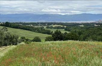 Eladó Olaszországi lakóövezeti telek hirdetés (25729358)