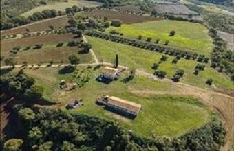 Eladó Olaszországi családi ház hirdetés (99426238)