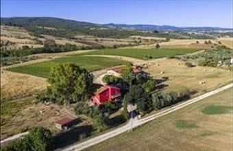 Eladó Olaszországi családi ház hirdetés (97578838)