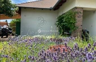 Eladó Budajenői családi ház hirdetés (59976525)