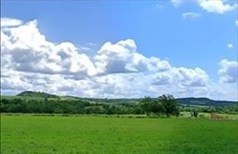 Eladó Horvátországi hétvégi ház hirdetés (42631695)