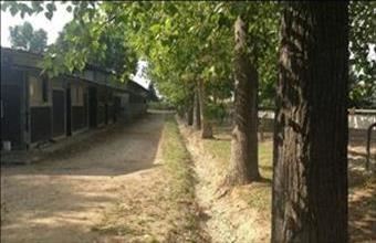 Eladó Olaszországi egyéb üzlethelyiség hirdetés (53235273)