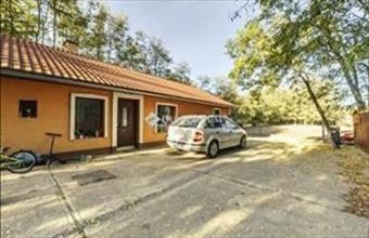 Eladó Kerekegyházai tanya hirdetés (48335473)