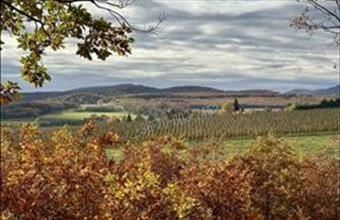 Eladó Berkenyei egyéb mezőgazdasági ingatlan hirdetés (36496752)