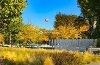 Eladó Budapest VII. kerületi tégla lakás hirdetés (52359292)