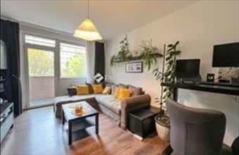 Eladó Budapest X. kerületi panel lakás hirdetés (11993726)