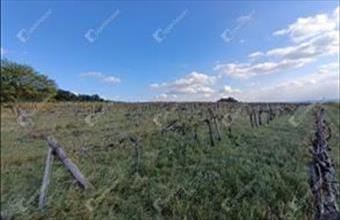 Eladó Harkai külterületi telek hirdetés (22322332)