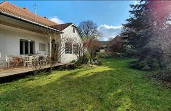 Eladó Barnagi családi ház hirdetés (53666942)