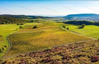 Eladó Óbudavári egyéb mezőgazdasági ingatlan hirdetés (62832493)