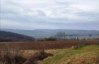 Eladó Mencshelyi egyéb mezőgazdasági ingatlan hirdetés (53612419)